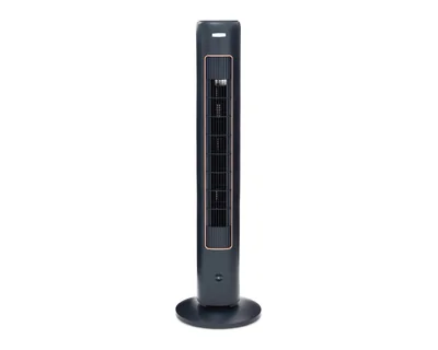 Ventilador de Torre Zen Record