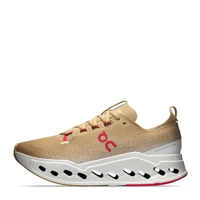 Tenis On Cloudsurfer Max Year of the Horse