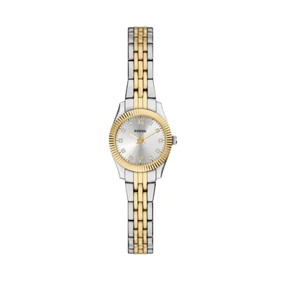 Reloj Fossil Scarlette Mini Bicolor Acero Inoxidable para Mujer