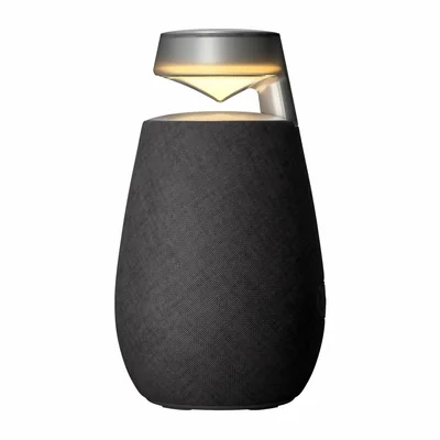 Bocina Bluetooth Portatil LG XBOOM 360, Inalambrico, USB-C, 20W, Negro