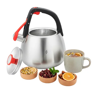Tetera de 2.5 Litros Capacidad Acero Inox 304 Bogner Bwk25