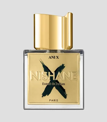 Perfume Ani X, Extrait de Parfum 100 ml Unisex