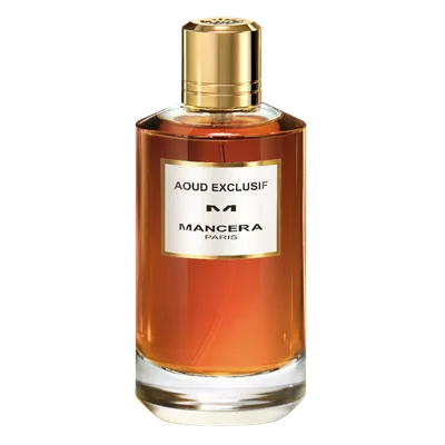 Perfume Unisex Mancera Paris Aoud Exclusif 120ml EDP