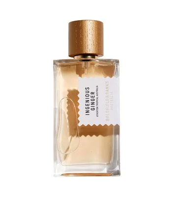 Perfume Ingenious Ginger, Eau de Parfum 100 ml Unisex