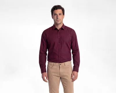 Camisa Casual Wall Street Regular Fit Lisa para Hombre
