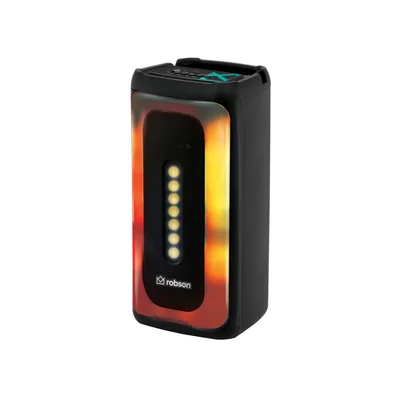 Bafle Recargable Robson 2x4 Pulgadas Luz Flama 16 W con Micrófono ROB 2040