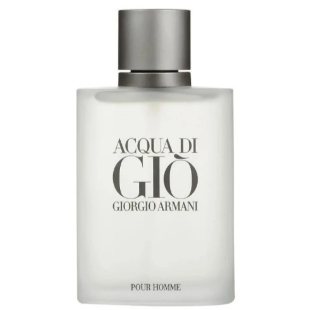 Perfume Giorgio Armani Acqua Di Gio 100ml EDT