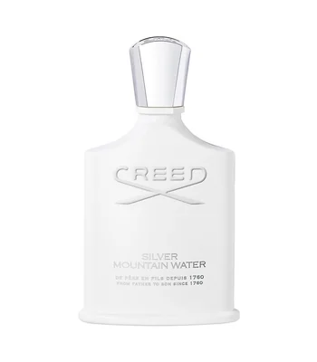 Perfume Silver Mountain Water, Eau de Parfum 100 ml Unisex