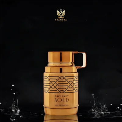 AOUD 100ML EDP