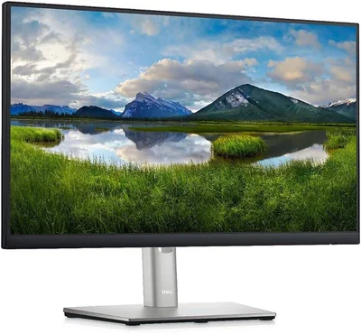 Monitor Dell P2225H 21.5" Full HD IPS 100 Hz